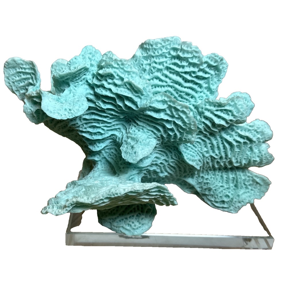 Faux Teal Coral Sculpture Decor w/ Glass Base 9.5"Wx 4.5 Deep x 7" Tall